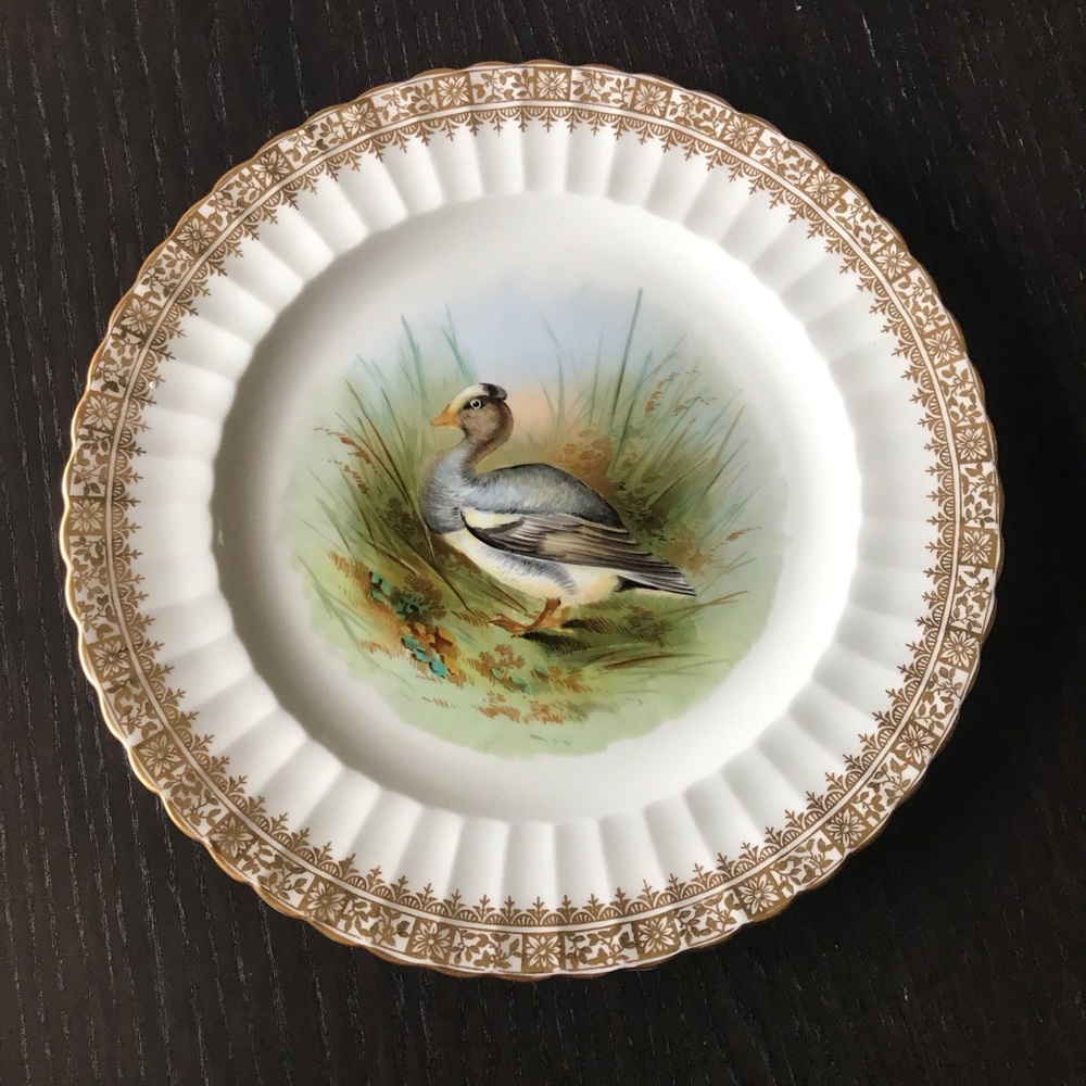 Rare EJD Bodley Antique Cabinet Plate